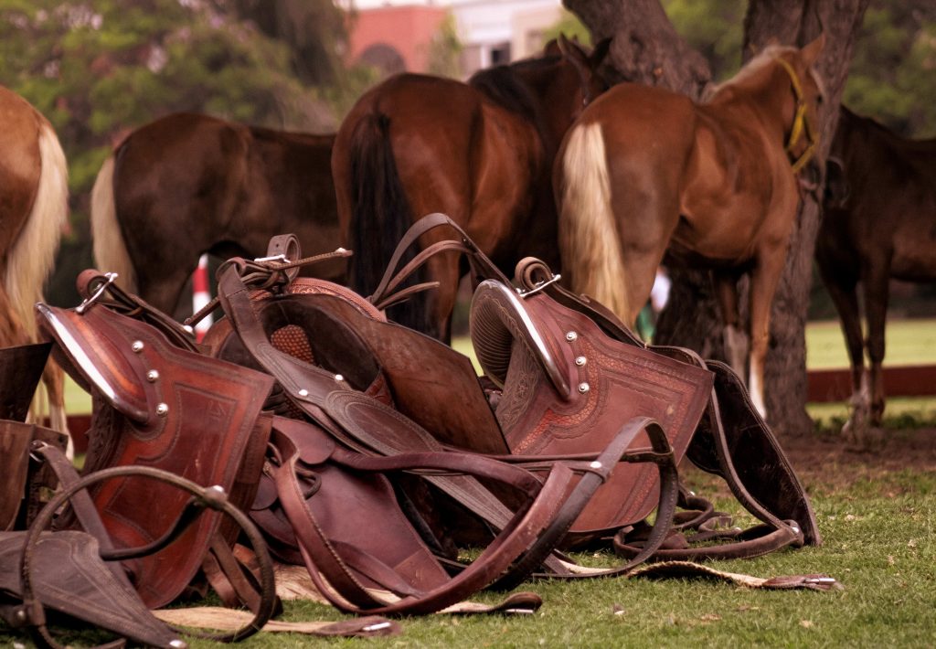 BUY HORSE SADLES